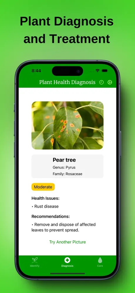 PlantIdentify - AI Care Tips screenshot 2